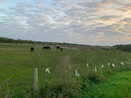 Campo, Con Potencial Para Desarrollo De Cabañas 