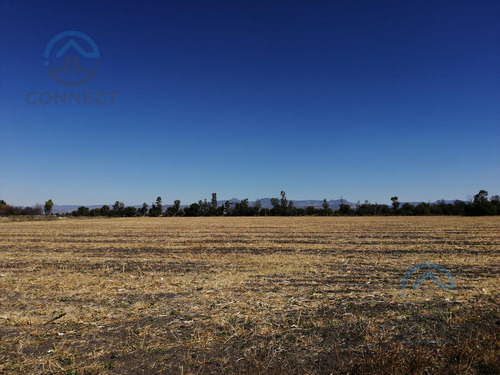 Terreno Residencial Campestre A Dos Minutos De La Unam León, Gto 2,500m2