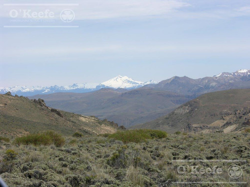 Campo En Venta De 635 Has Bariloche, Costa Del Pichileufu, Rio Negro.