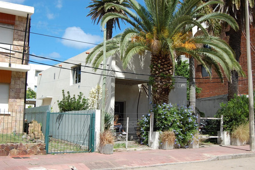 Imagen 19 de 22 de Local Oficina Casa Chalet Loft Apartamento Depósito 1 Dormitorio 2 Dormitorios En Venta Ubicado En Península, Punta Del Este, Punta Del Este / Maldonado