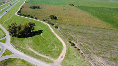 Imagen 14 de 14 de Venta, Campo 10ha Con Frente Sobre Autopista Bs As