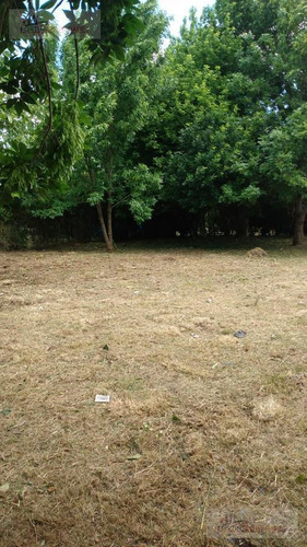 Imagen 5 de 5 de Terreno En Venta- Villa Parque Sicardi