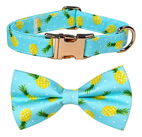 Dinosaurio Perro Tazón Tie Accesorio Collar Perro, Ygqgo