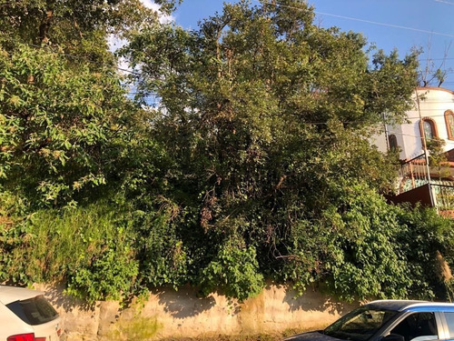 Imagen 2 de 6 de Terreno Venta En Condado De Sayavedra
