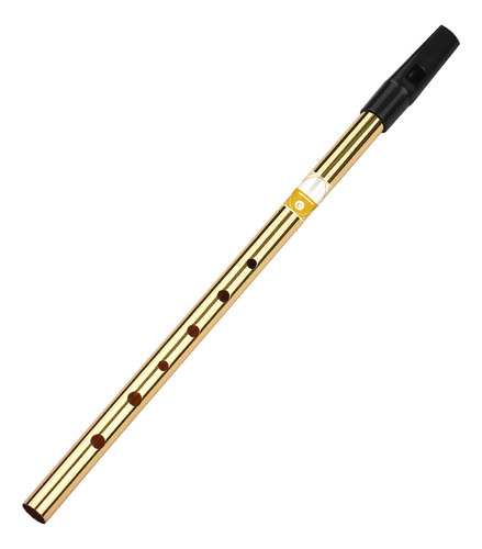 Whistle Flute, Expertos En Música. Instrumentos Para Princip