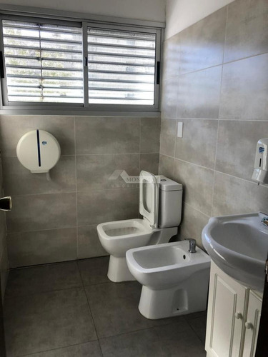 Imagen 7 de 11 de Local Galpon Deposito Aguada Jose L Terra Prox. Palacio 1500m Edificados. Altura 14mts.