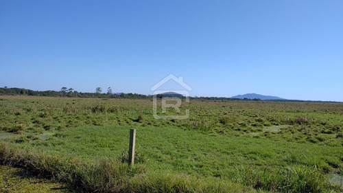 Imagem 12 de 30 de Fazenda Localizada Em Iguape- Sp Com 280 Alqueires - 262 - 71153412