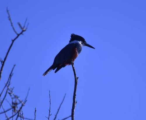 Mención Rustica En Rivera Del Rio Notue Con Lago Huillinco