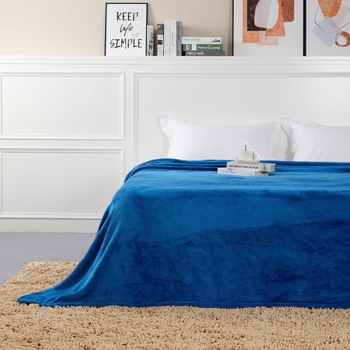 Frazada Manta Plush Flannel 240 X 190cm Térmica Ultra A Soft Azul Liso