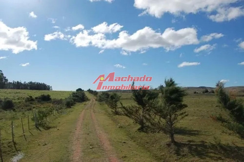 Imagen 7 de 7 de Venta De Chacra En Abra De Perdomo