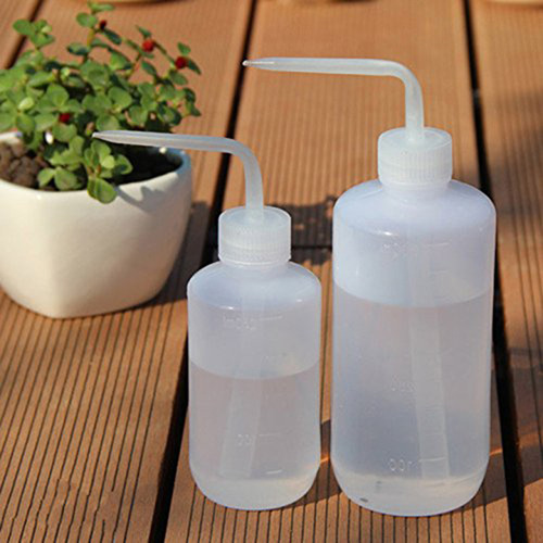 Botella De Agua Con Forma De Flor Y Suculentas, 2 Unidades,
