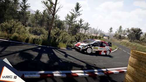 Wrc 10 Ps4 FĂsico