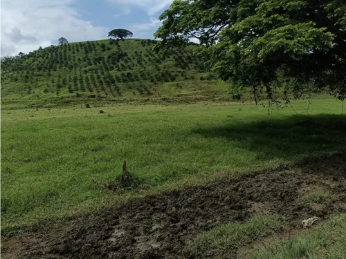 Se Vende Finca Vía Barragan - Rio Verde
