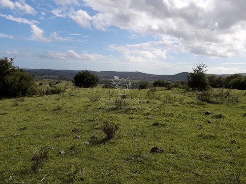 Imagen 11 de 14 de Campo Cerca De Pueblo Eden - Consulte !!!!!!! - Pueblo Eden