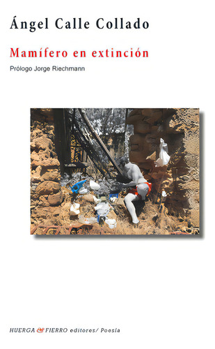 Mamãâfero En Extinciãâ³n, De Calle Collado, Ángel. Editorial Huerga Y Fierro Editores, Tapa Blanda En Español
