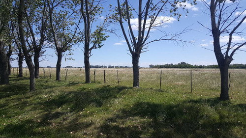450 Has - Campo Ganadero En Venta A Metros De Ruta !!!