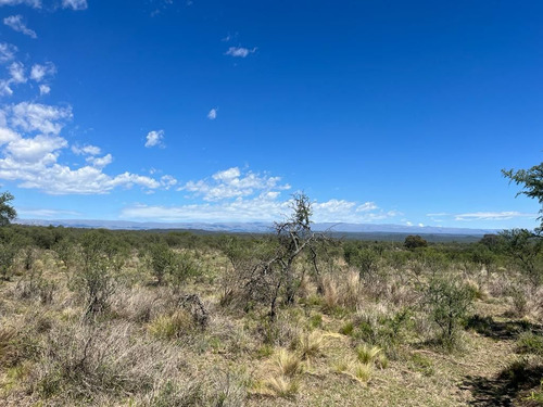 Venta Campo Villa Quillinzo (40 Hectareas) Ideal Para Loteo