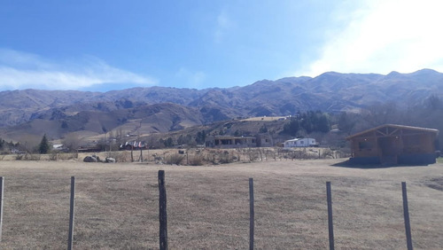 Imagen 2 de 3 de Ovejeria