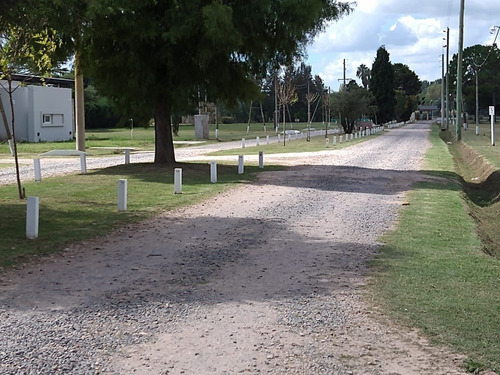Imagen 5 de 7 de Terreno En Venta En Lobos