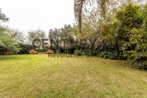 Imagen 5 de 14 de Terreno Ideal - En Venta - San Lorenzo