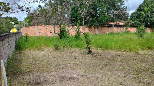 Sítio Em Aramari Próximo A Alagoinhas