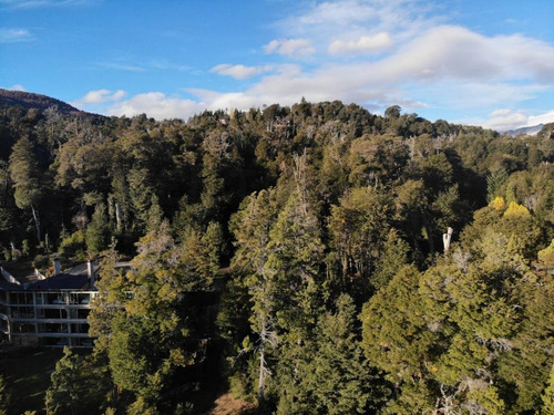 Imagen 19 de 27 de Lote De 2.270m2 En Bº Calfuco A Metros Del Lago Nahuel Huapi, Villa La Angostura