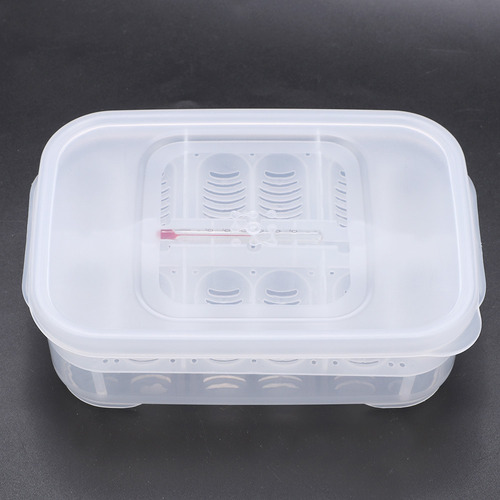 Incubadora De Huevos De Reptiles, Lagartos Serpientes Caja D