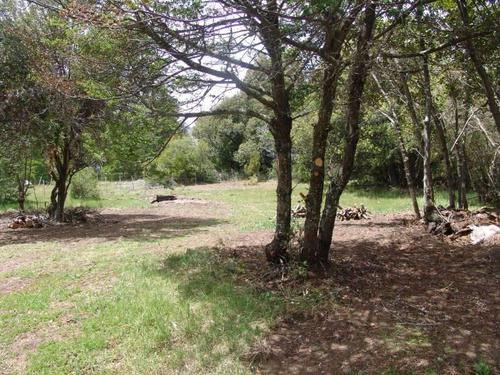 Imagen 7 de 24 de Fabienne Edelberg Fe Propiedades Venta 1/2 Hectérea Sobre Lago Meliquina - Peninsula Con Casa