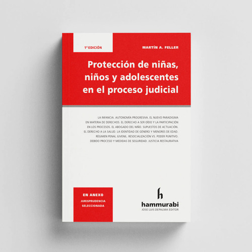 Protección De Niñas, Niños Y Adolescentes En El Proceso Judi