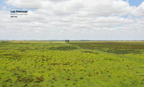 Campo De 255 Hectáreas En Las Petacas, Santa Fe