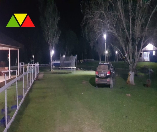 Imagem 21 de 30 de Chácara Em Cai De Baixo - Ch00088 - 34982990