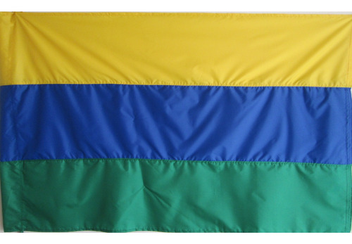 Bandera De Guainia (tamaño 100x150cm) En Material Vendaval