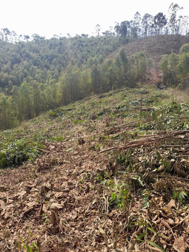Imagem 8 de 14 de 7a* Em Igaratá Entrada 5mil. -7a* Agende Sua Visita