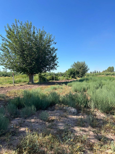Finca En Venta En Colonia Segovia. 7,5 Has