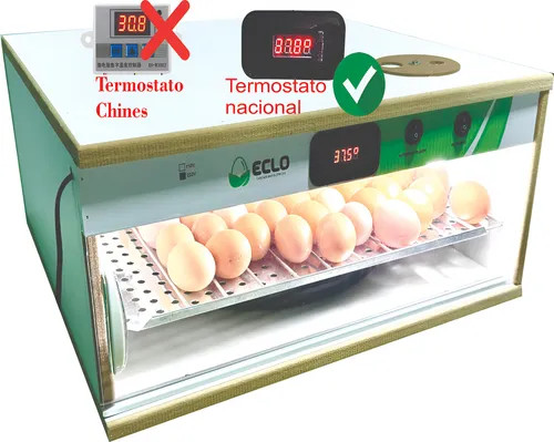 Chocadeira Automática Digital 70 Ovos Galinha Ovoscópio