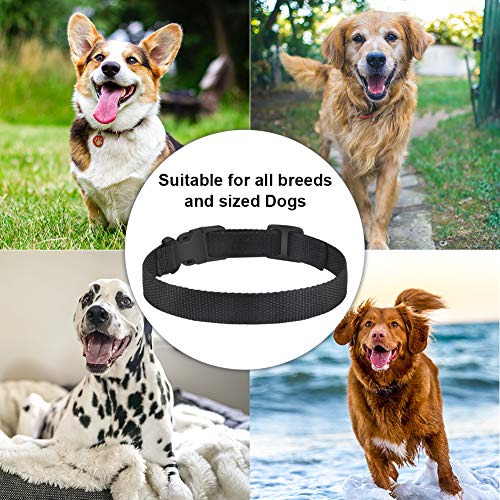 Correa Perro Ajustable Nylon Duradera - Para Collar De