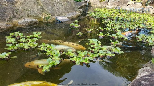 Imagem 21 de 29 de Chácaras À Venda Em Piracaia/sp - Compre O Seu Chácaras Aqui! - 1287237