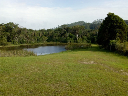 Imagem 19 de 27 de Juquitiba / Lindo Sitio C/piscina/ac Propostas/ref:04794
