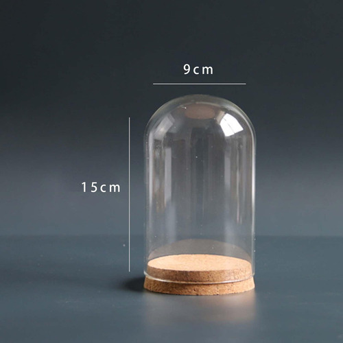 A Vitrina De Cristal Preservada De La Bóveda De De 9cmx15cm