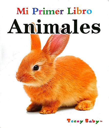 Imagen 9 de 11 de Libros De Palabras Para Niños Tienda Chacao
