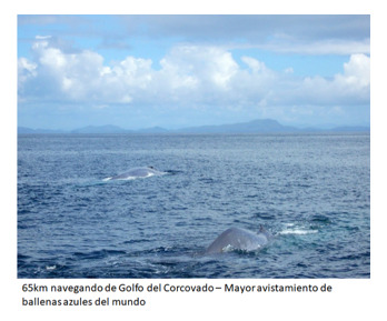 Agrícola En Venta En Cisnes