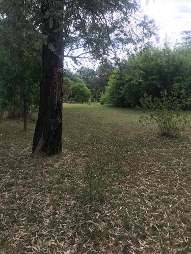 Imagen 5 de 22 de Terreno En Venta - El Remanso, Exaltación De La Cruz - 2.776m2