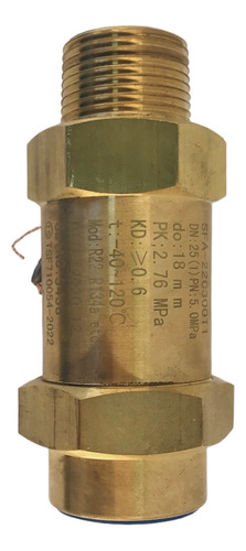 Válvula De Segurança (psv) 1 Pol Nptm X Nptf, Bronze
