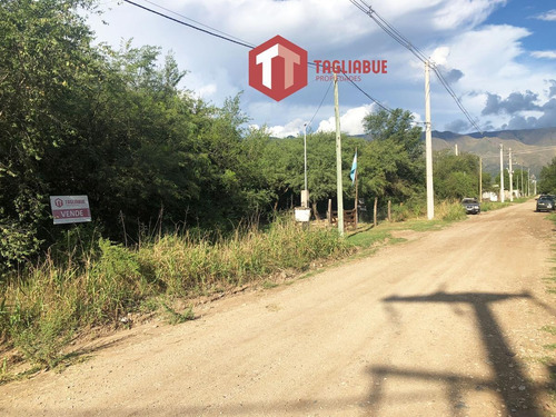 Imagen 6 de 6 de Terreno - Merlo