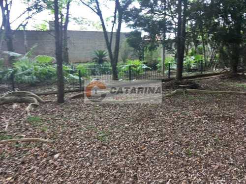 Imagem 7 de 10 de Lindo Terreno Em Condominio Fechado