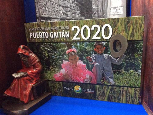 Puerto Gaitán - Meta - Colombia - Plan Agropecuario 2020