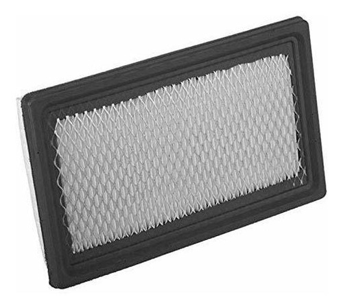 Filtro De Aire Elemento Ezgo 26855g01.