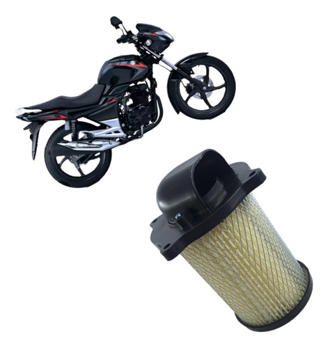 Filtro Aire Gs 150r