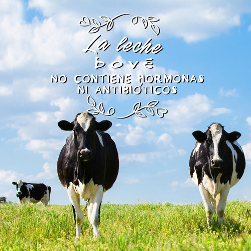 Imagen 4 de 5 de Leche Descremada Orgánica Bové 1 Lt