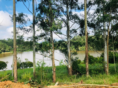 Imagem 2 de 14 de 01- Terrenos Documentados Na Frente Da Represa Em Igaratá !